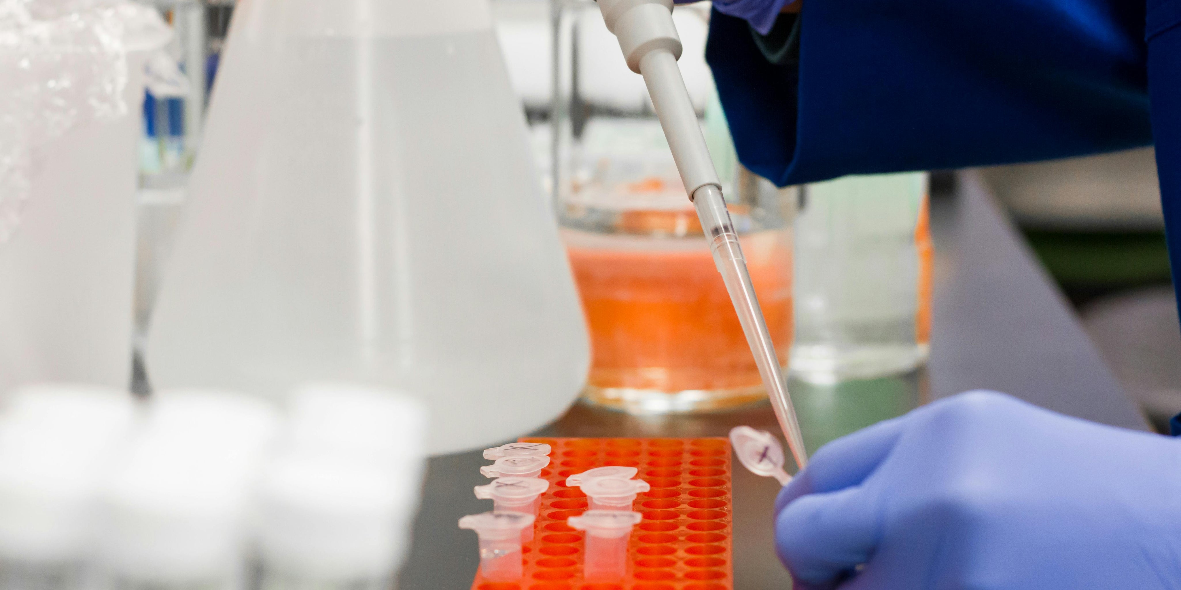 The Science—Background & Studies—Behind Xcellara™ And Its Derivatives