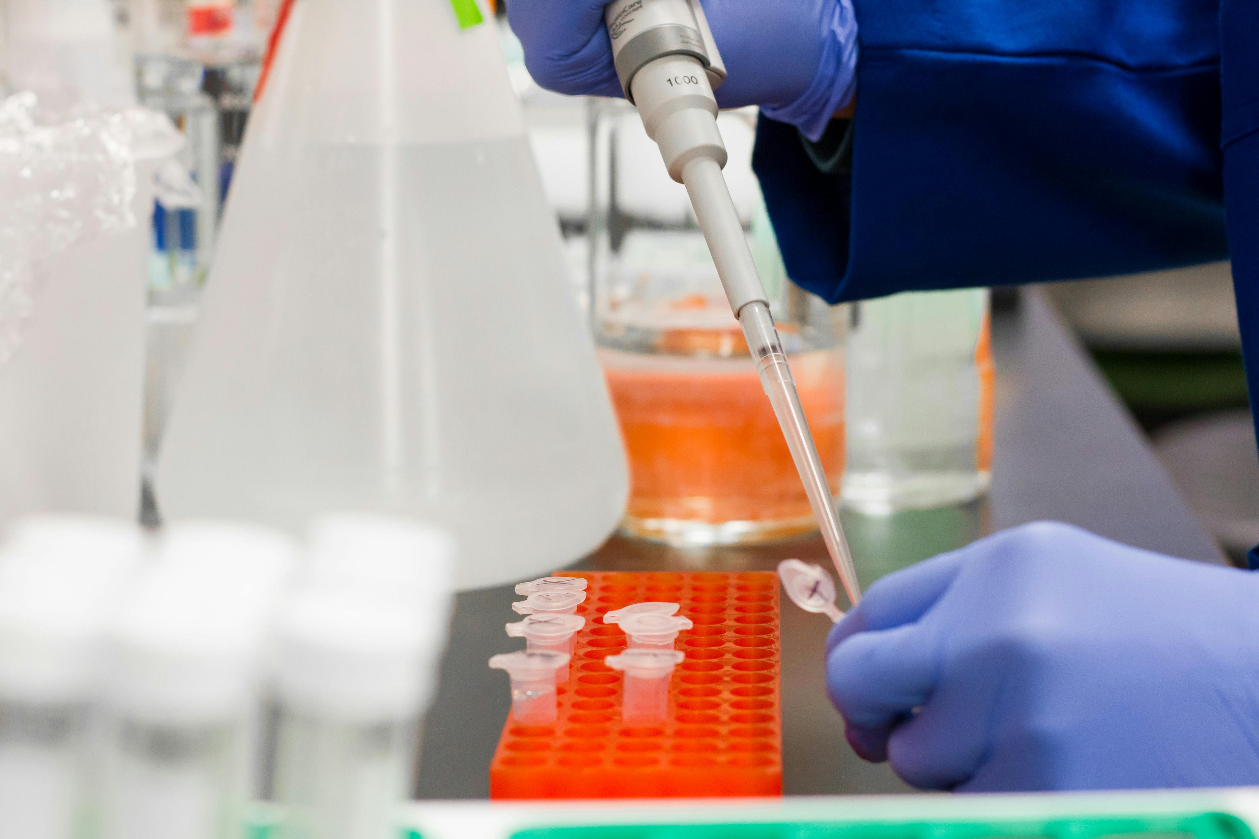 The Science—Background & Studies—Behind Xcellara™ And Its Derivatives